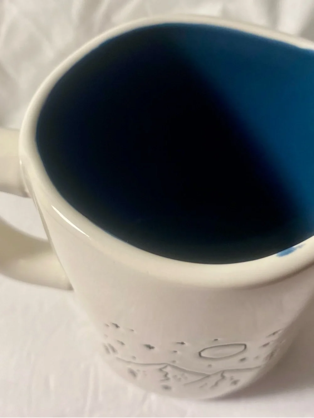 Rae Dunn White Mug with Blue Interior - STAY WILD - Picture 6 of 9